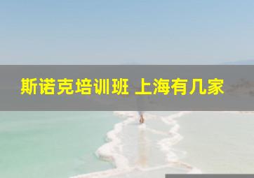 斯诺克培训班 上海有几家